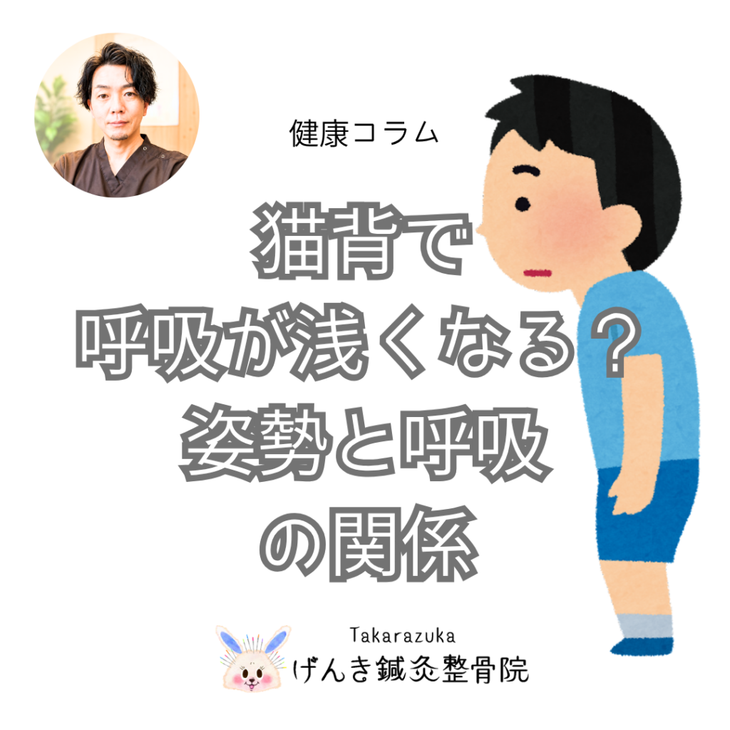 猫背で呼吸が浅くなる？姿勢と呼吸の関係について｜宝塚げんき鍼灸整骨院