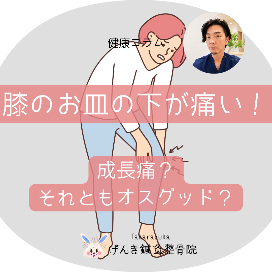 小学生や中学生の膝のお皿の下が出っ張って痛むオスグッド病とスポーツの注意点を解説するアイキャッチ画像